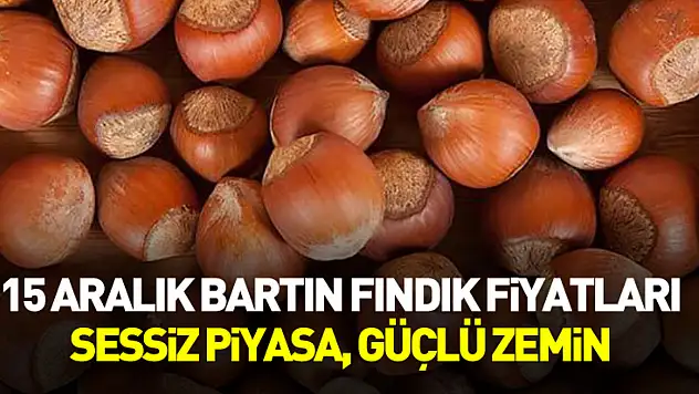15 Aralık Bartın Fındık Fiyatları | Sessiz Piyasa, Güçlü Zemin