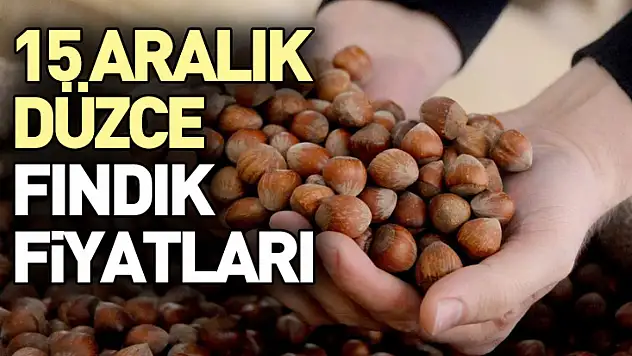 15 Aralık Düzce Fındık Fiyatları