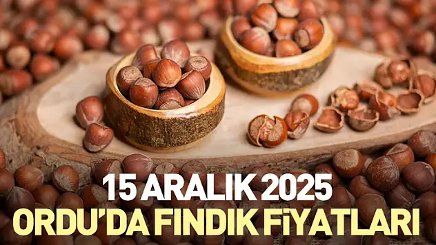 15 Aralık Ordu'da Fındık Fiyatları | Akçakoca Yine Ön Planda