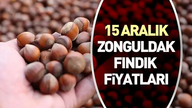 15 Aralık Zonguldak Fındık Fiyatları | Fiyatlarda Güçlü Duruş