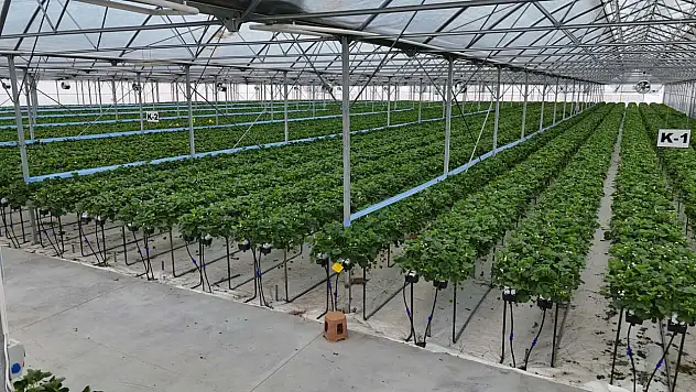 1500 kişiye iş imkanı sağlanacak