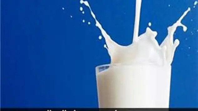 Okul sütü ihalesi yapıldı