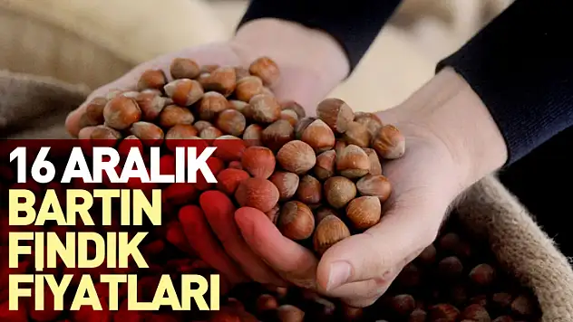 16 Aralık Bartın Fındık Fiyatları