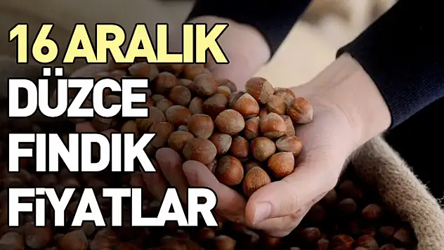 16 Aralık Düzce Fındık Fiyatlar