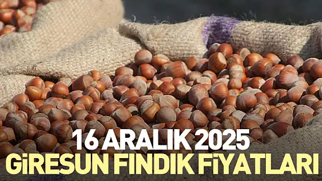 16 Aralık Giresun Fındık Fiyatları