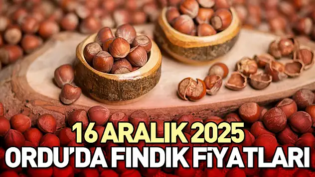 16 Aralık Ordu'da Fındık Fiyatları