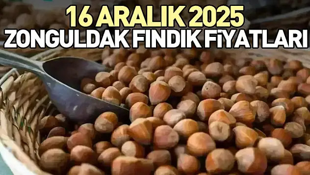 16 Aralık Zonguldak Fındık Fiyatları