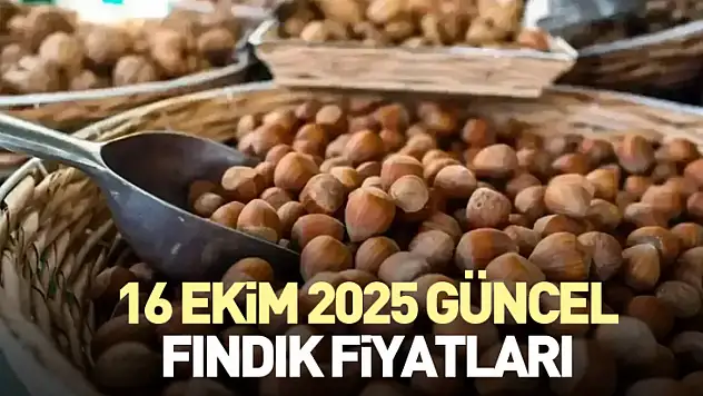 16 Ekim 2025 Güncel fındık fiyatları