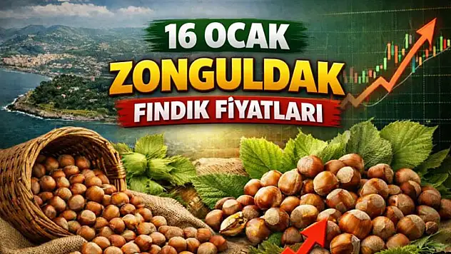 16 Ocak Zonguldak Fındık Fiyatları