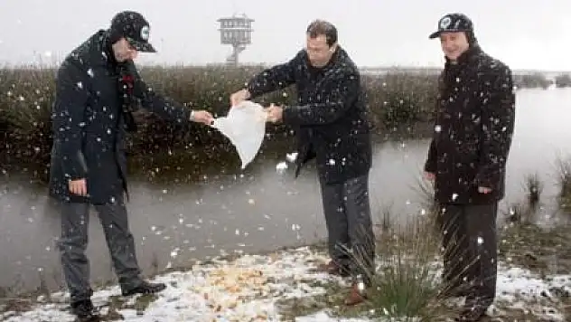 Yaban hayata kar desteği