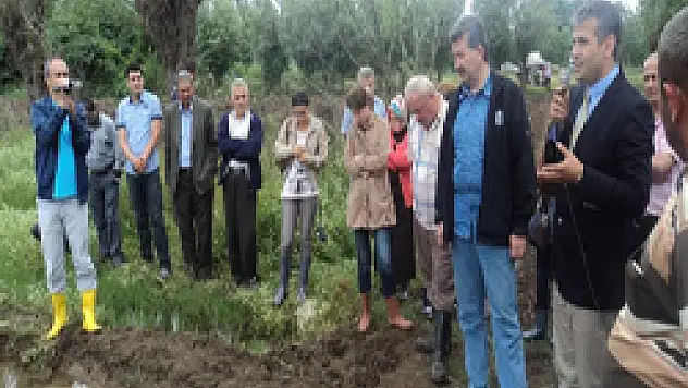 Fideleme yöntemi ile Çeltik Yetiştiriciliği