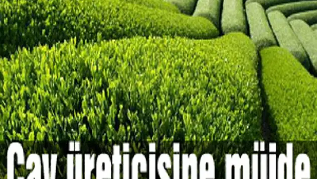 Çay üreticisine müjde