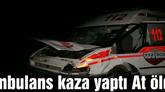 Ambulans kaza yaptı: At öldü