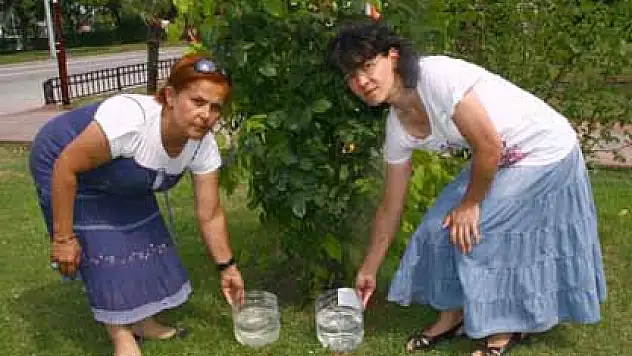 Sokak hayvanları için 'Bir Kap Su Sen de koy'