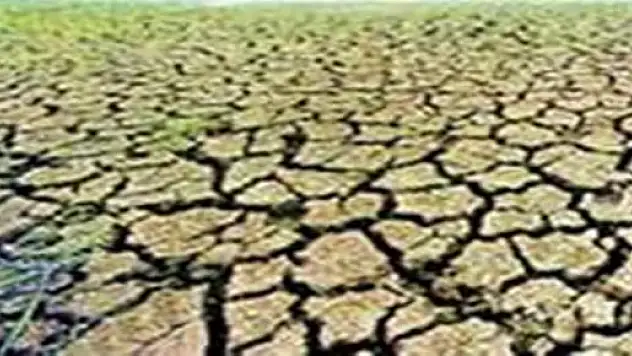 Kuraklığa Dikkat