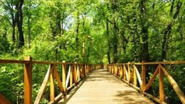 Çakırlar'da Geri Sayım Başladı