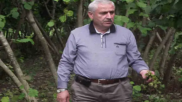 Başkan Güngör Felaket Bölgesinde…