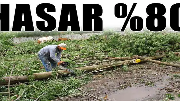 Hortum %80 oranda zarar verdi