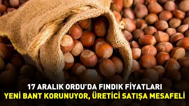17 Aralık Ordu'da Fındık Fiyatları | Yeni Bant Korunuyor, Üretici Satışa Mesafeli