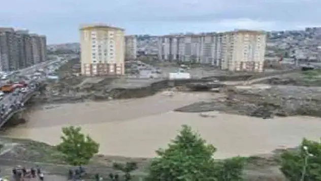 Konsey, sorumlu tuttu