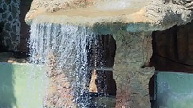 Yüzerken çocuklarınızı yalnız bırakmayın