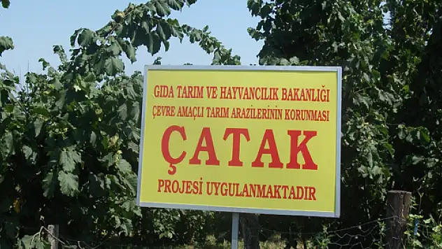 Çatak Projesi Hız Kesmeden devam ediyor  