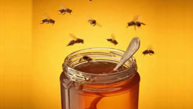 Yeni Bal Tebliği yürürlüğe girdi