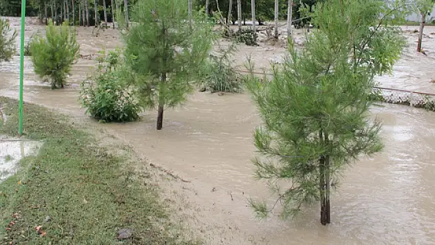 Sel Suları Ağaçları kökünden söktü