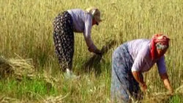 Çiftçi borçlarına 1 yıl erteleme