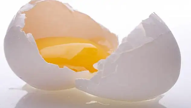 Yumurta üretimi arttı