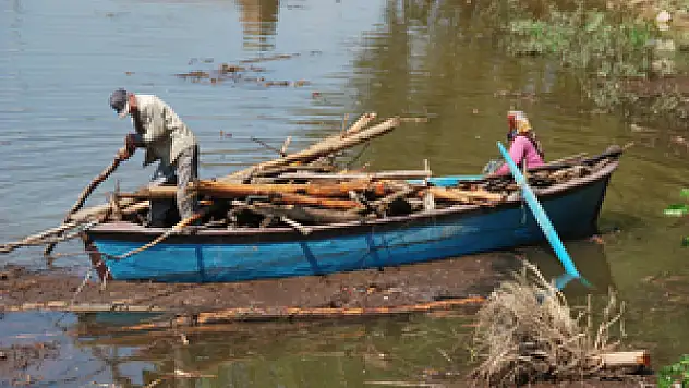 Derbent barajında odun avlıyorlar 