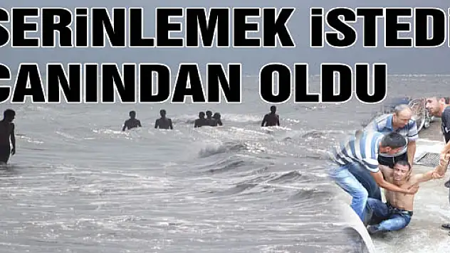 Serinleme isteği canına mal oldu