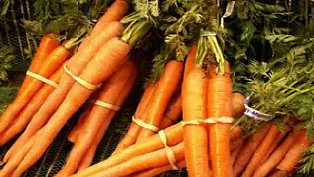 Havucun Hiç Duymadığınız Faydaları!