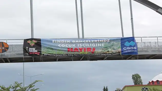 Pankart tamamda peki ya yeri doğrumu?