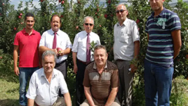 Meyvede Sıkıntı Pazarlamada