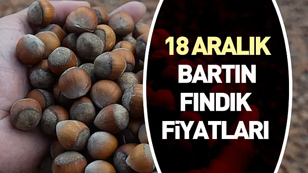 18 Aralık Bartın Fındık Fiyatları | Sessiz Piyasa, Güçlü Zemin