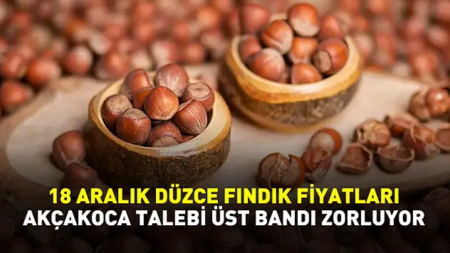 18 Aralık Düzce Fındık Fiyatları | Akçakoca Talebi Üst Bandı Zorluyor
