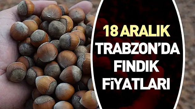 18 Aralık Trabzon'da Fındık Fiyatları | Sahil İlçeleri Yükselişi Taşımaya Devam Ediyor