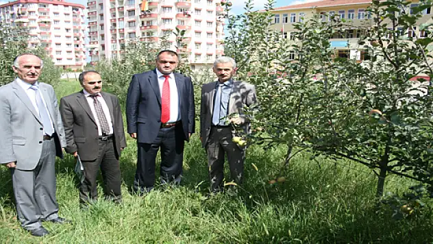 Bir fidan da onlar dikti ilk meyveler yeşerdi!