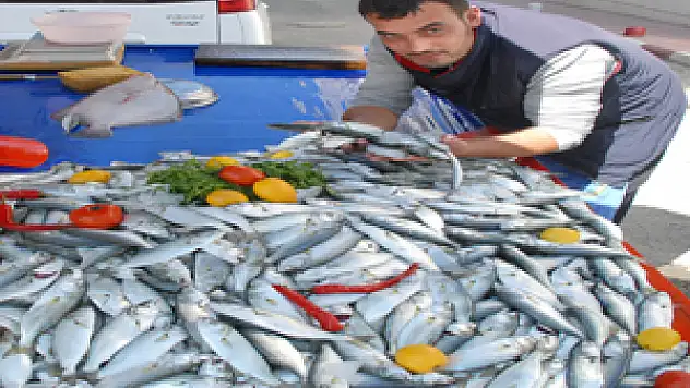  Çinakopun Kilosu 15 Liraya Düştü