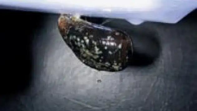 Midyeden süper yapıştırıcı çıkardı