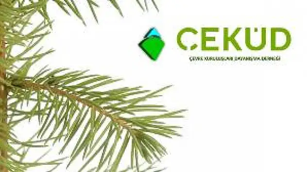 Elektronik atık toplama kampanyası