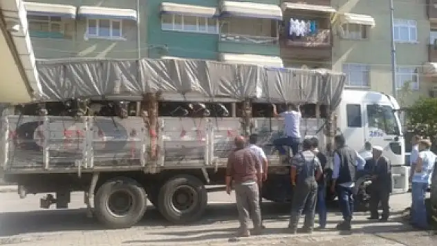 İlçemizden Kurban Sevkleri Başladı