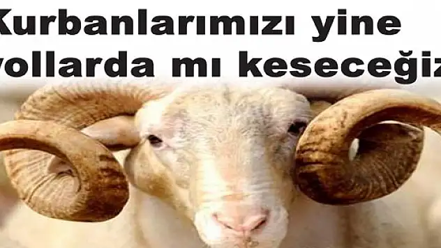 Kurbanlarımızı yine yollarda mı keseceğiz