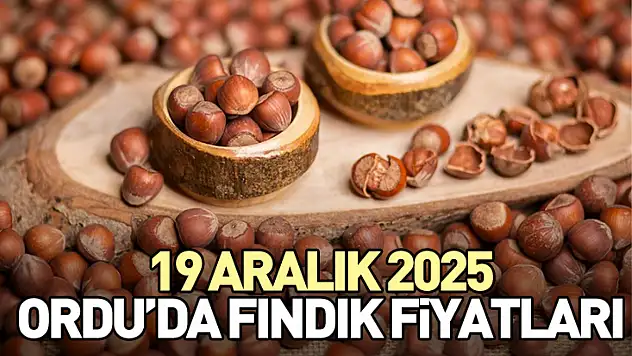 19 Aralık Ordu'da Fındık Fiyatları