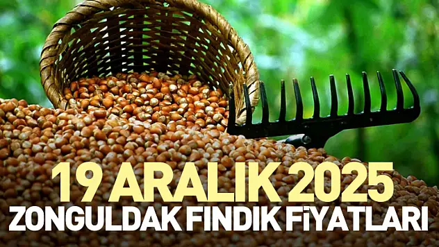 19 Aralık Zonguldak Fındık Fiyatları