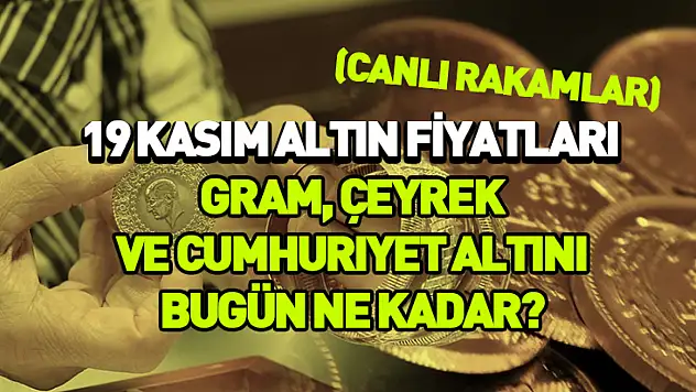 19 Kasım Altın Fiyatları: Gram, Çeyrek ve Cumhuriyet Altını bugün ne kadar? (CANLI RAKAMLAR)