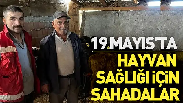 19 Mayıs'ta Hayvan Sağlığı İçin Sahadalar