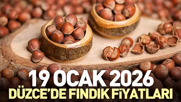 19 Ocak 2026 Düzce'de Fındık Fiyatları