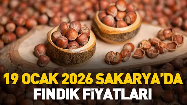 19 Ocak 2026 Sakarya'da Fındık Fiyatları